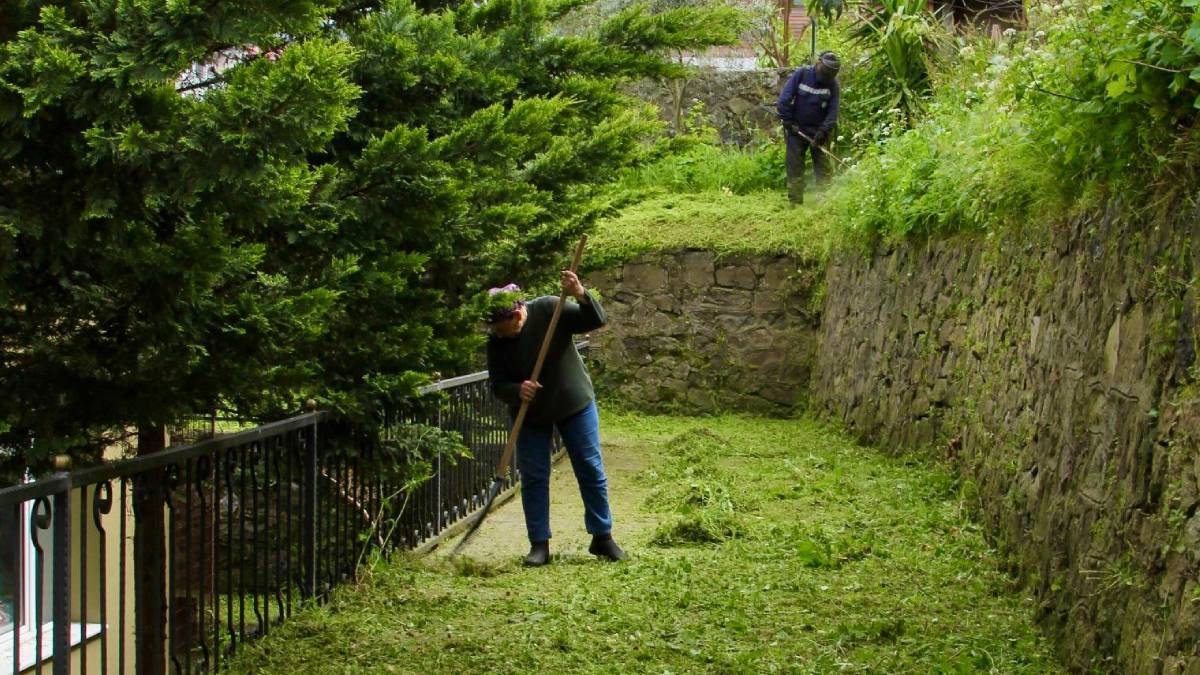 Belediye ekipleri okul bahçelerinde ot biçme çalışması yaptı