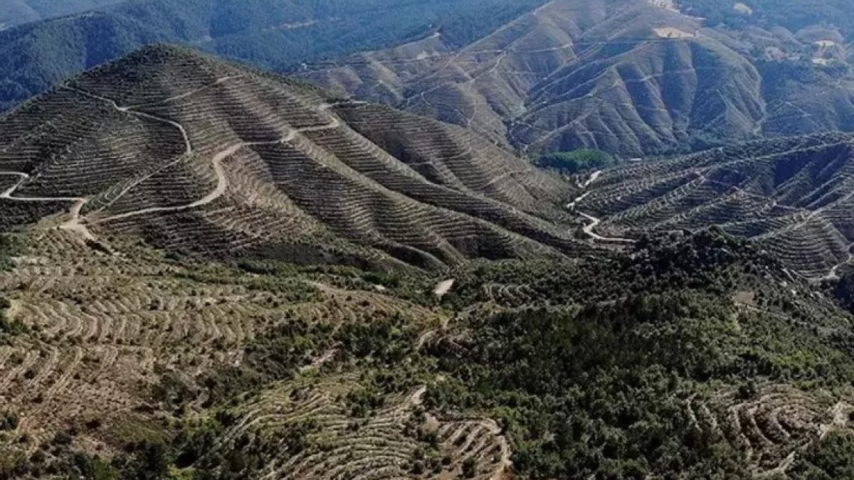 Kütahya’da yangın tedbiri: Ormanlara giriş ve çıkışlar yasaklandı