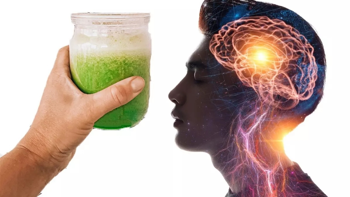 Zihni güçlendiriyor, IQ’yu yükseltiyor! Harvardlı uzmandan şaşırtan tavsiye: Bu içecek hafızayı roket gibi çalıştırıyor