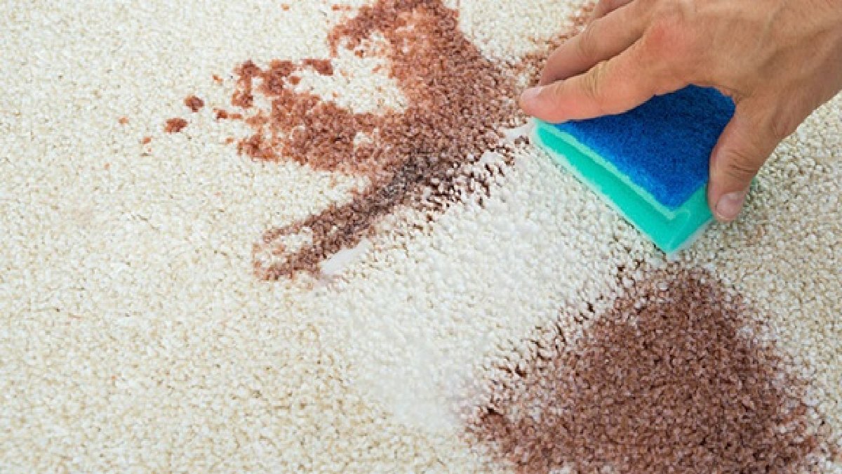 Halıdaki çay lekesi en basit nasıl çıkar! Ne sirke ne de karbonat! Kimsenin aklına bile gelmezdi…