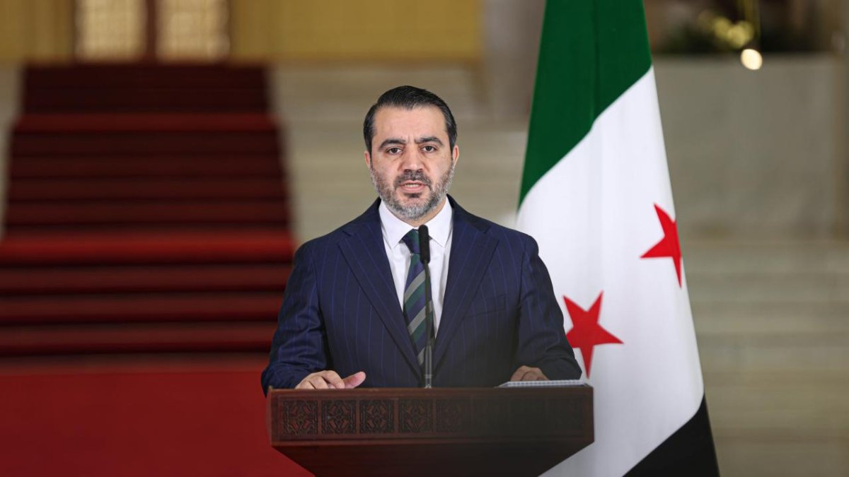 Şeybani'den Türkiye ve ABD'ye teşekkür