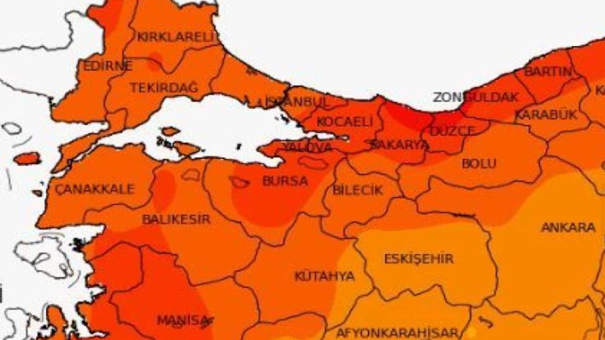 Düzce, Bolu, Sakarya ve Zonguldak'ta istilacı hayvan salgını! Onlarcası aniden bastırıp yok ediyor. Acilen önlem alın