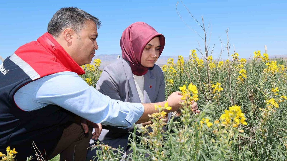 Gördüğünüz yerde yolunuzu değiştirin! Ekipler başında nöbet tutuyor! Koparanın başı yanacak: 557 bin TL cezası var!