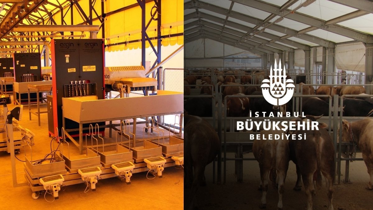 İstanbullular istedi İBB yaptı! Kurban kestireceklere 4 yeni süper lüks tesis: Şimdiden yer ayırtın