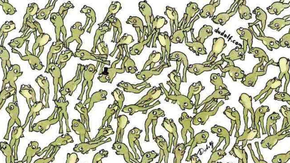 Sadece 5 Saniyeniz Var: Zıplamayan Kurbağayı Bulun ve IQ’nuzu Kanıtlayın!