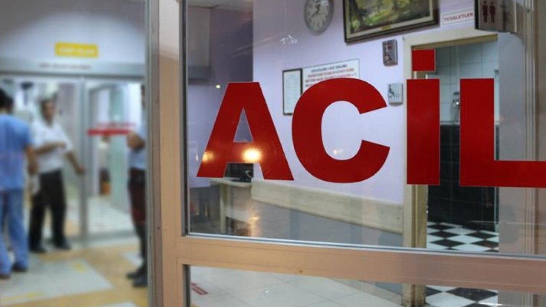 Çorum’da mantardan zehirlenen 3 çocuk yoğun bakımda