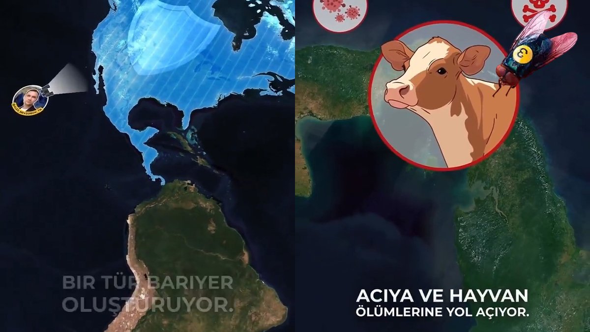 Duyanlar inanamıyor! ABD'nin o ülkedeki 'gizli' operasyonu ortaya çıktı: Uçakla havadan milyonlarca canlı böcek bırakıyorlar