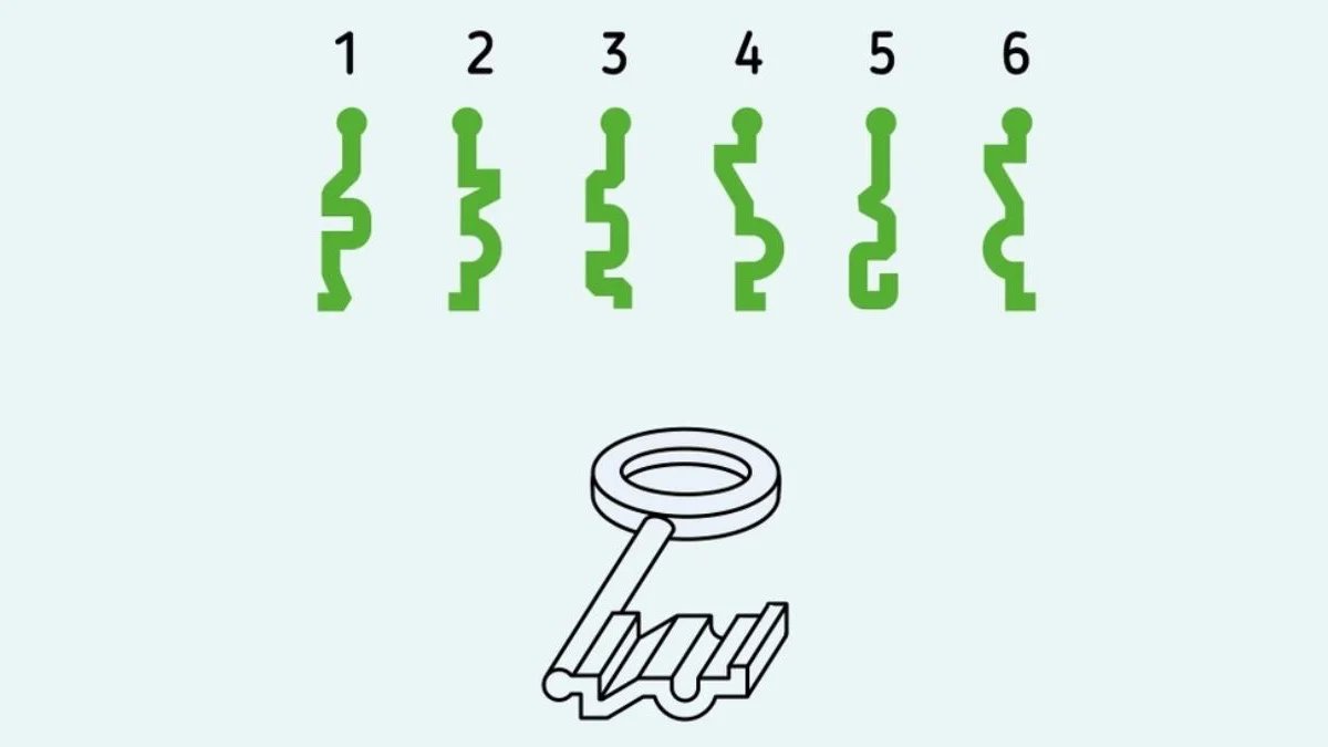 5 saniyede doğru deliği tutturan çıkar mı? Anahtarı doğru yere yerleştiren süper zeki çıkar