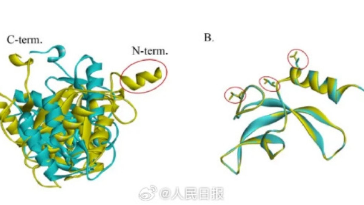 Çinliler yeni bir mikrop keşfetti