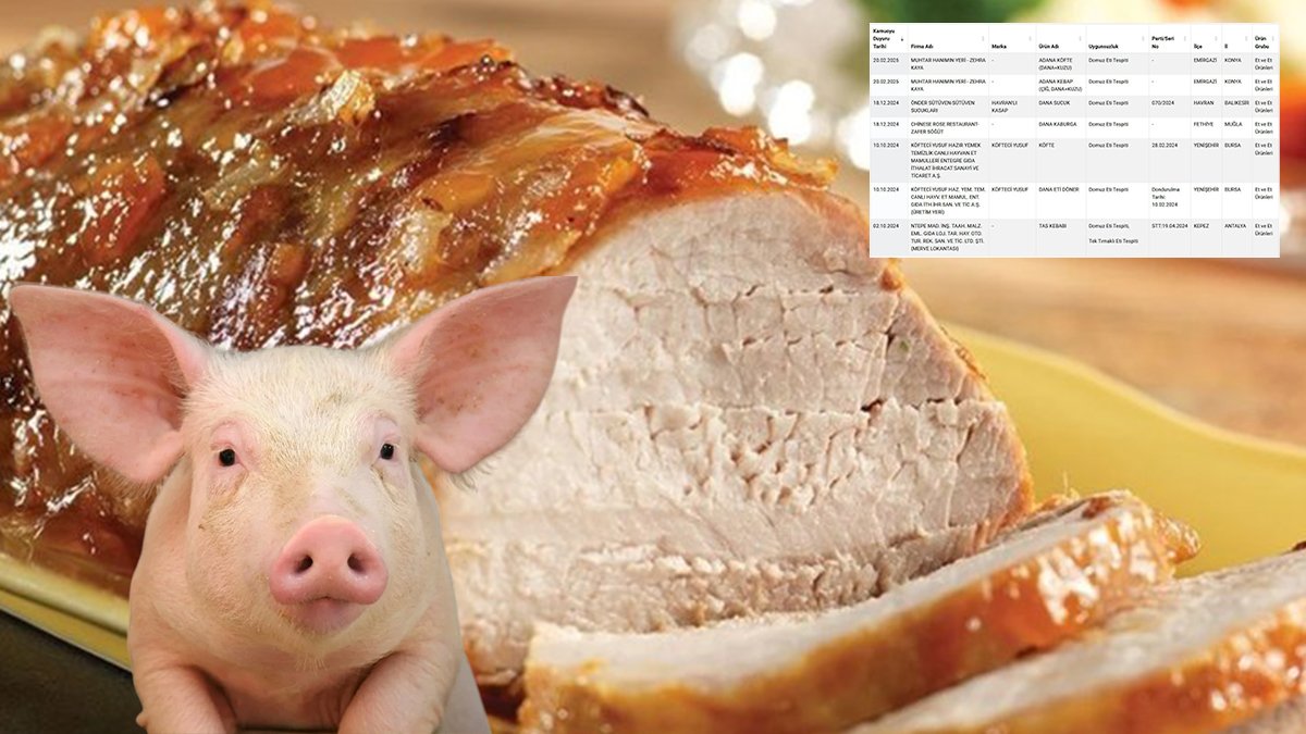 Türkiye’de domuz eti alarmı: 5 İlde domuz eti skandalı patladı…