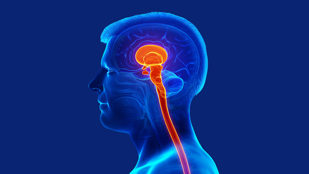 Uzun süre oturmak beyni öldürüyor