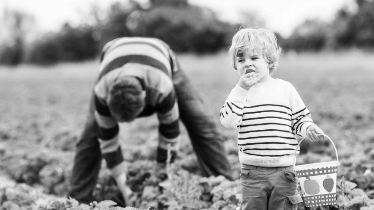 Çocukların lokmalarına gizlenen zehir: Pestisitler