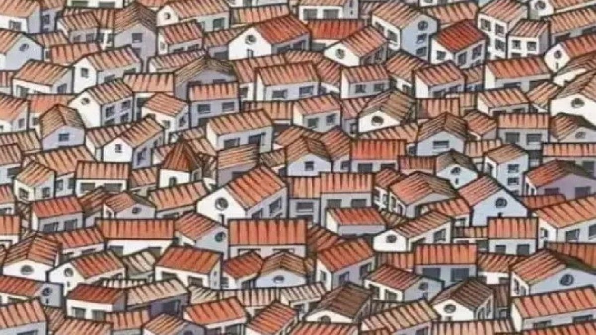 Kendine güvenen böyle gelsin! İddia ediyoruz 6 saniye de gizli kediyi bulamayacaksınız