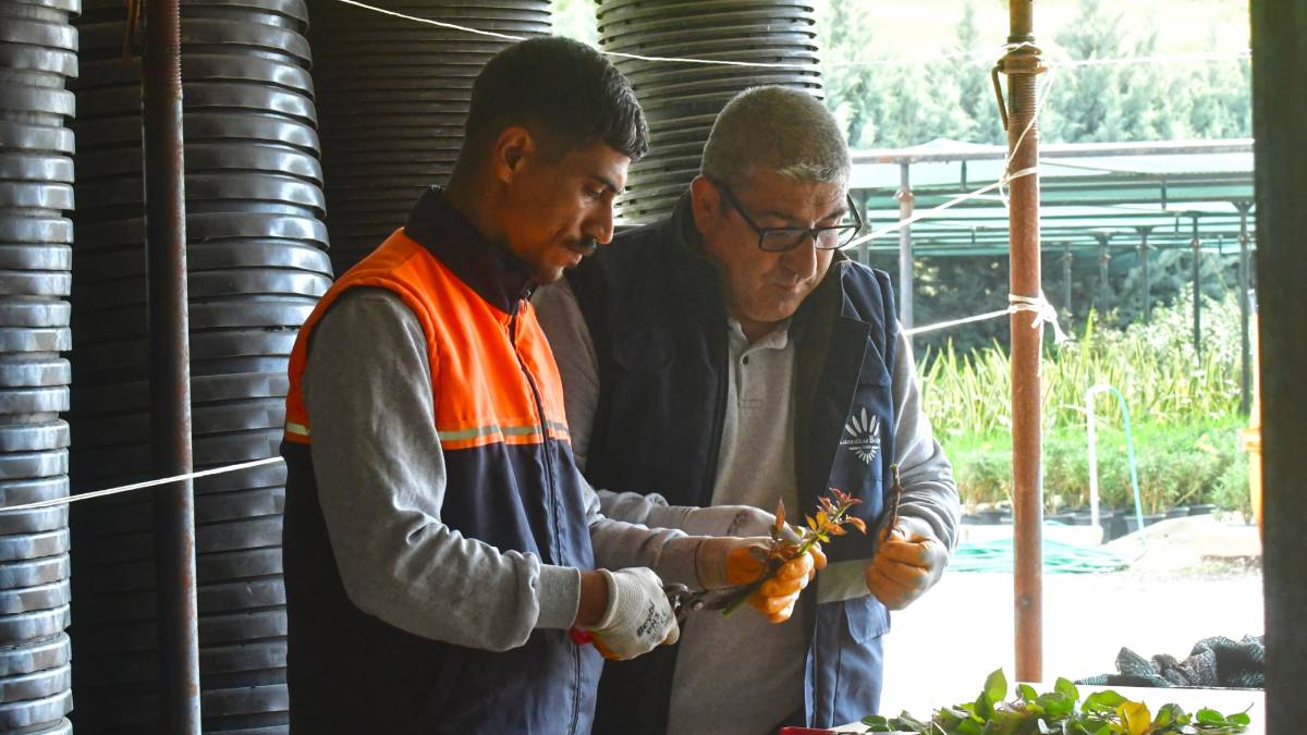 Karabağlar Belediyesi tohumdan üretimle yeşil alanlara hayat veriyor