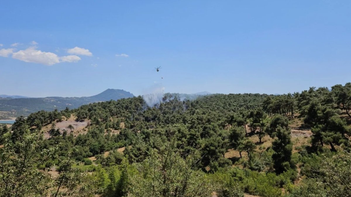 Balıkesir’de ormanlara giriş yasaklandı