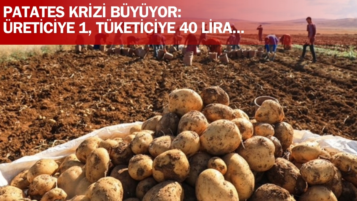 Üretici satamıyor, vatandaş alamıyor! Patates fiyatlarında kriz: Üreticiye 1 lira, tüketiciye 40