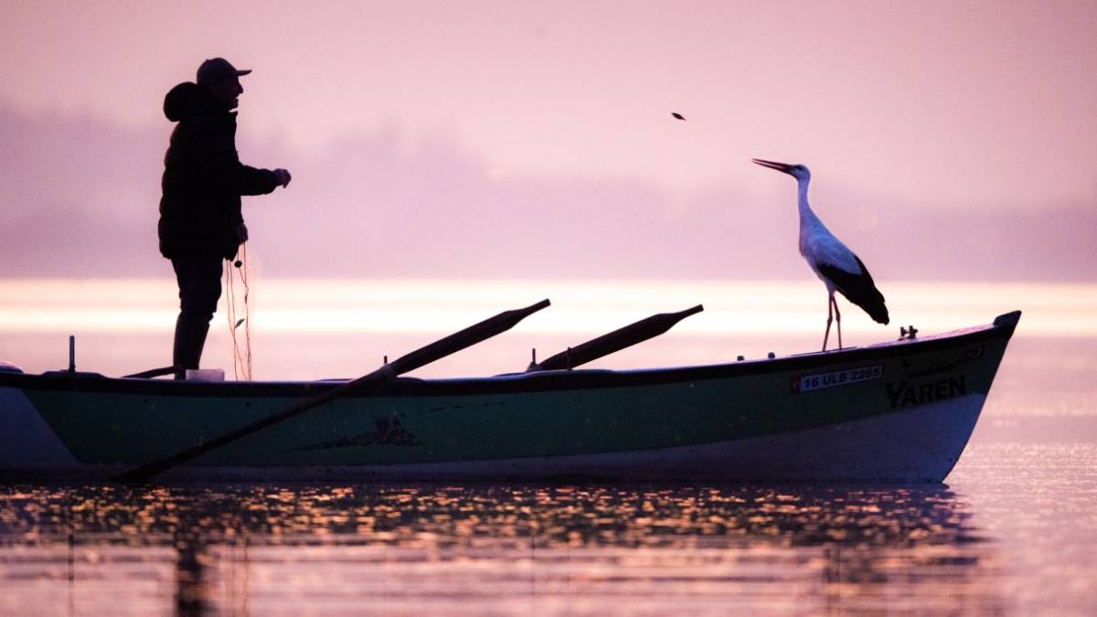 ‘Uluslararası Bursa Leylek Şenliği’ başlıyor