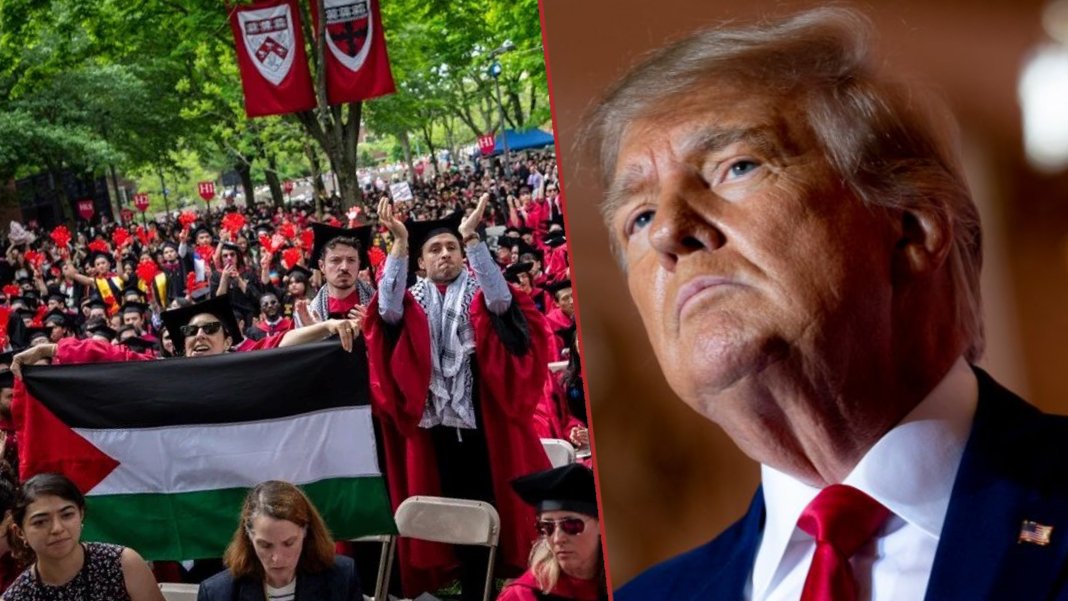 Harvard Üniversitesi, Trump yönetimine dava açtı