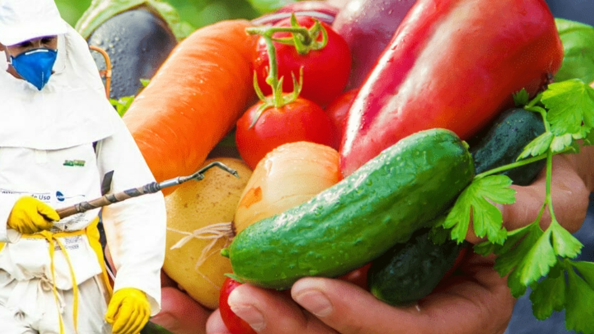 Market raflarındaki tehlikeli gerçek! Alırken dikkat edin, sağlığınızı göz ardı etmeyin: Tam 13 üründe pestisit çıktı!