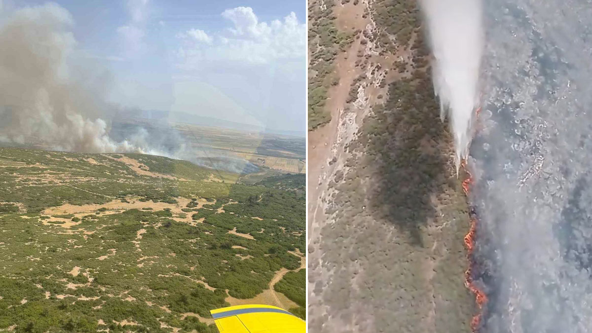 İzmir'de tarım arazisinde başlayan yangın ormana sıçradı