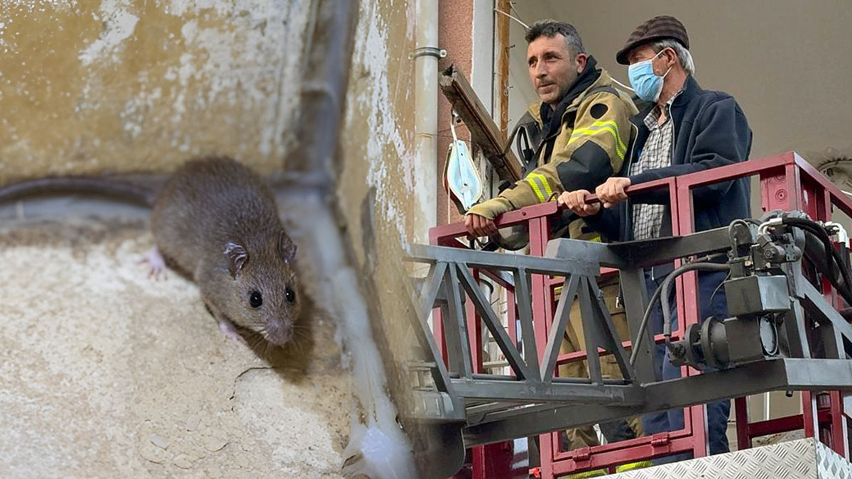 Fareleri kovmak isterken apartmanı zehirledi! 4 kişi hastanelik oldu, itfaiye balkondan tahliye operasyonu yaptı