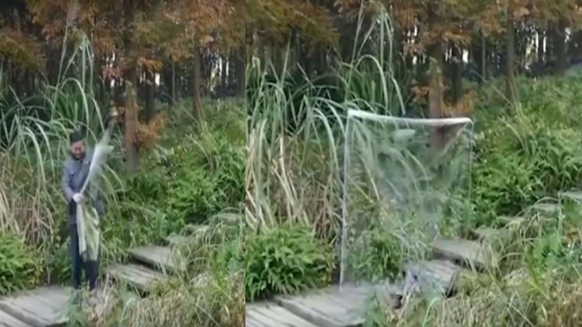 Film değil gerçek! Harry Potter’ın efsane görünmezlik pelerini gerçek oldu!