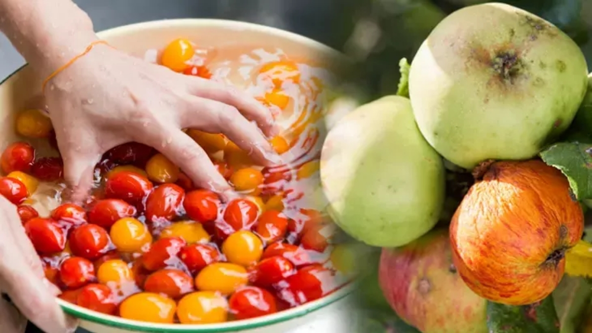 Pestisit paniği son buluyor, meyve ve sebzelerdeki zehri 5 dakikada yok ediyor! “Saatlerce yıkamayın, bunu yapın”