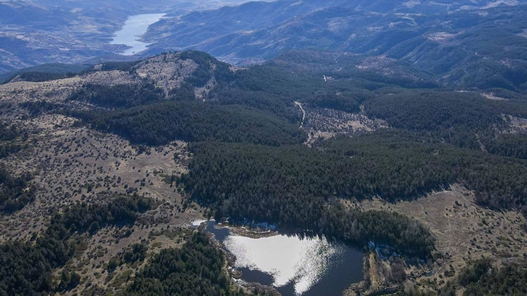 Ankara’da ormanlara giriş yasaklandı