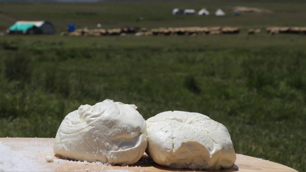 Erzincan tulum peyniri AB'de tescillendi