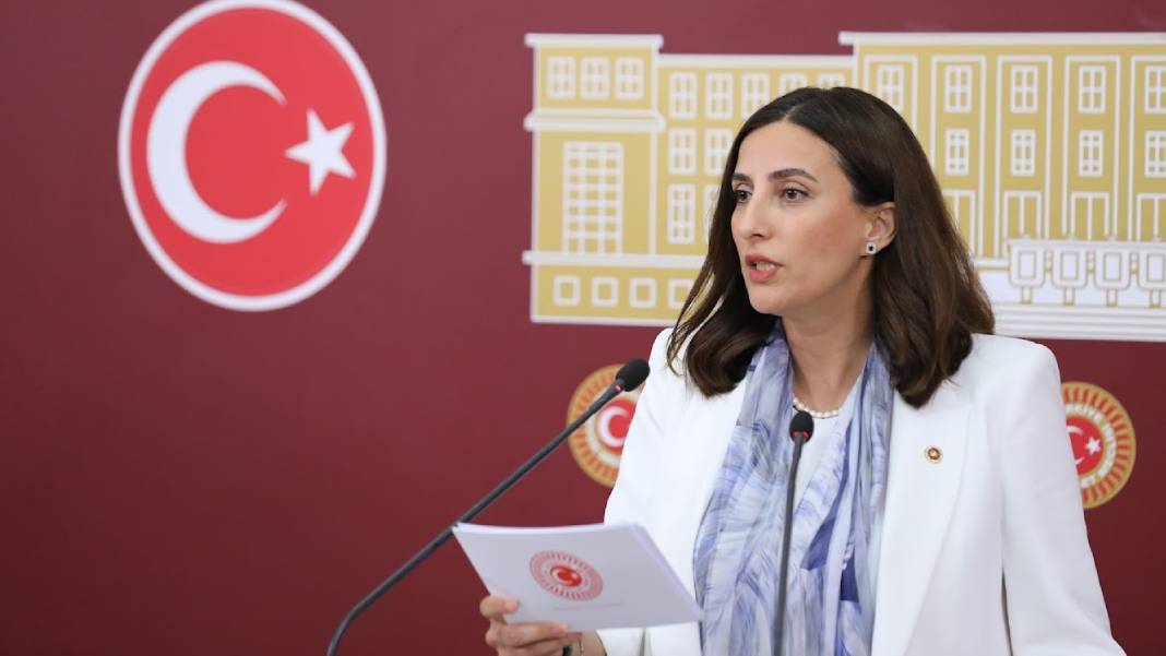 DEVA Partisi'nden çevre davaları için kanun teklifi: Bilirkişi ve keşif ücretleri Hazine'den karşılansın