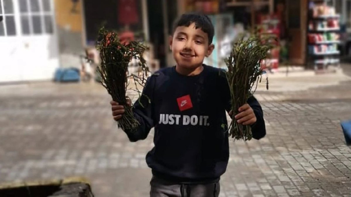 Pazarcının geçim kaynağı! Dağlarda kendiliğinden bitiyor, sepetini kapan koşuyor! Kıtlık onu da vurdu: Kilosu 100 TL