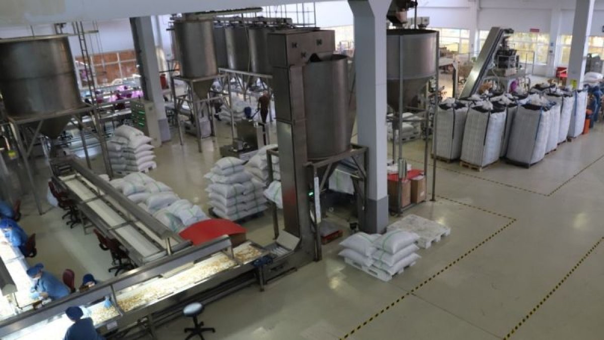 Türkiye'yi sarsan haber! 87 yıllık Türk devi batıyor: Nesi var nesi yoksa satışa çıkarıldı