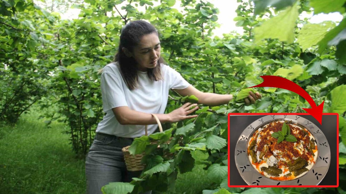 Karadeniz'in unutulmuş lezzeti kanserin ilacı çıktı! Bilim insanları mucizevi etkiyi açıkladı!