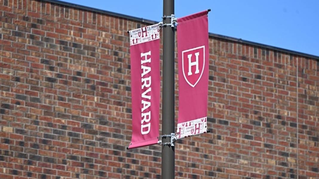 Japonya’dan Trump’ın Harvard kararına karşı çıkıyor