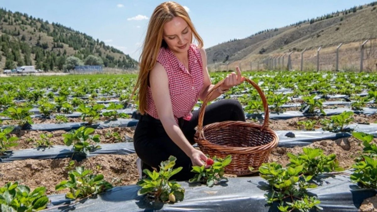 Doktorlar bu meyveyi tavsiye ediyor: Genç kalmak, bağışıklığını güçlendirmek ve kendini zinde hissetmek isteyenler dikkat!