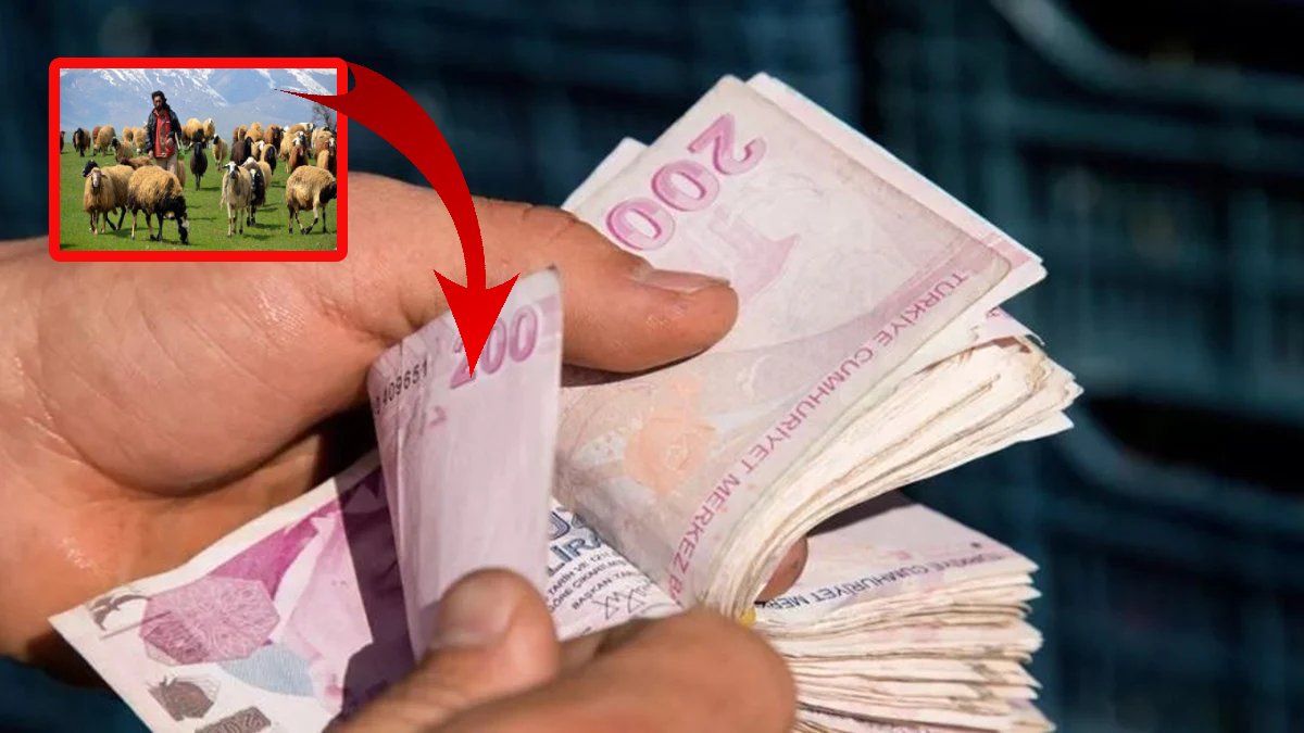 100 bin TL ödeme yapılıyor, yine da çalışan bulunmuyor! 81 ilde geçerli: Vali bile çalışan arıyor