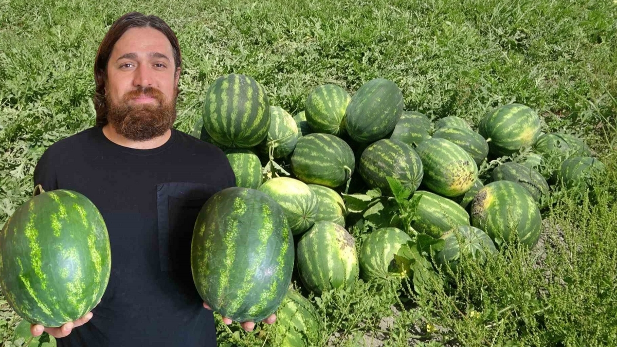 Don vurdu, hasat gecikti! Yazın bekleneni tezgahlarda yerini aldı: 20 liradan alıcı buluyor