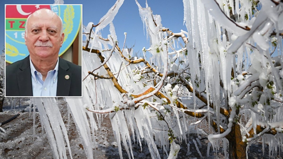 TZOB Genel Başkanı Bayraktar: 65 ilde zirai don felaketi, tarihimizin en büyük afeti