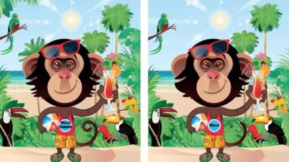 15 saniyede farkı bulanlar görsel zekada zirvede: Bu dikkat testi herkesi zorluyor