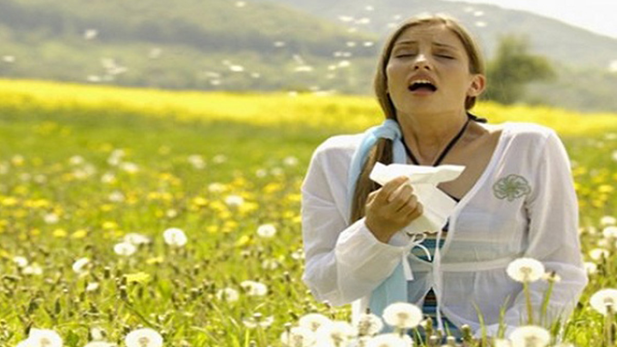 İklim krizi, polen mevsimini de değiştirdi