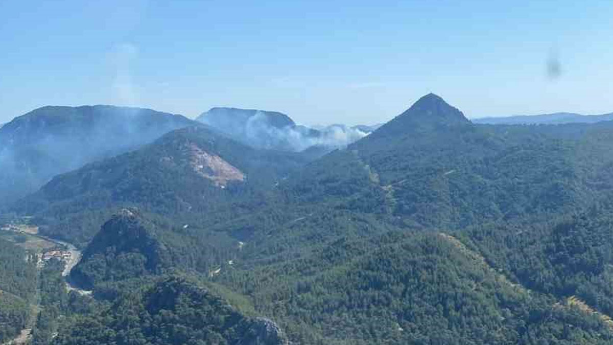 Marmaris’te orman yangını