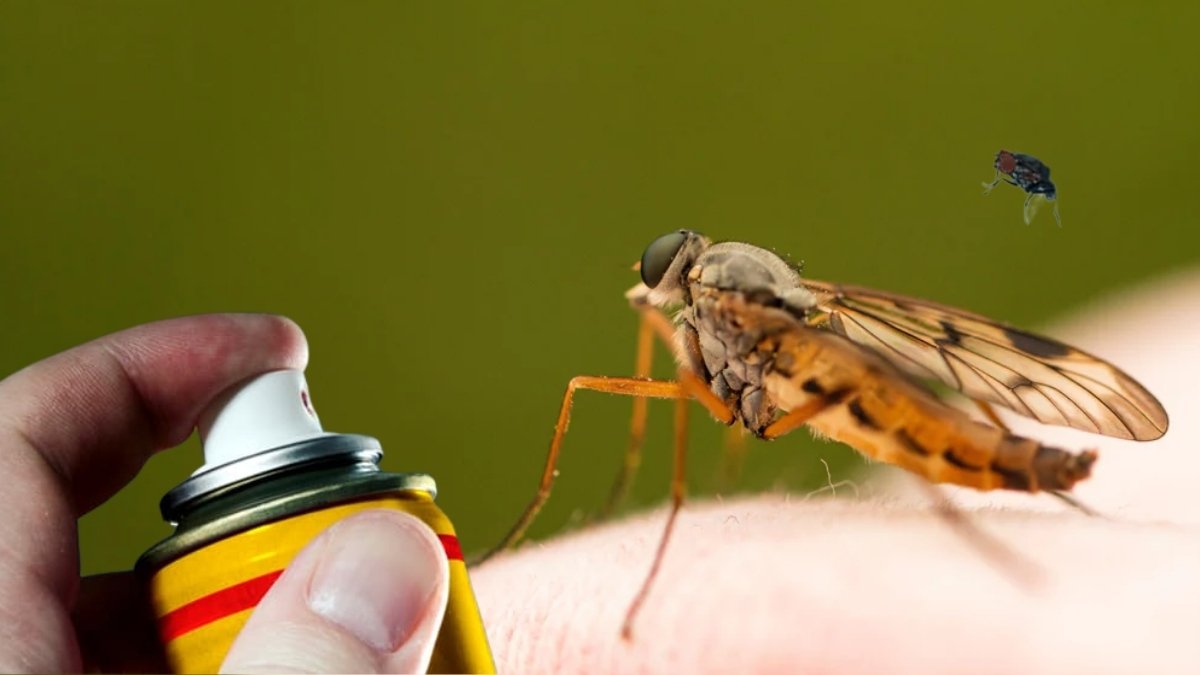 Sinek ilacını bugüne kadar hep yanlış kullanıyormuşuz! Sosyal medyada viral olan video