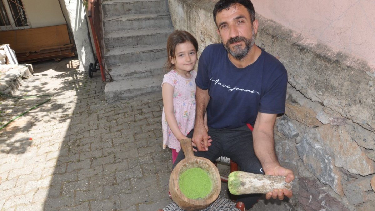 Kayalıkların arasından toplanıyor, yaprağından köküne kadar şifa! ‘Zuzubak’in kilosu 10 bin TL’den satılıyor