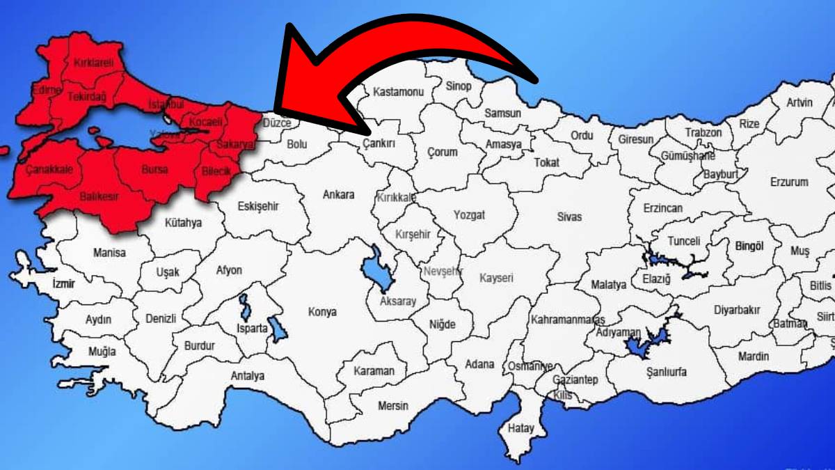 Korkulan oldu! İstila Marmara'ya sıçradı: 3 yıldır Karadeniz'i perişan eden böcek Bursa'yı sardı