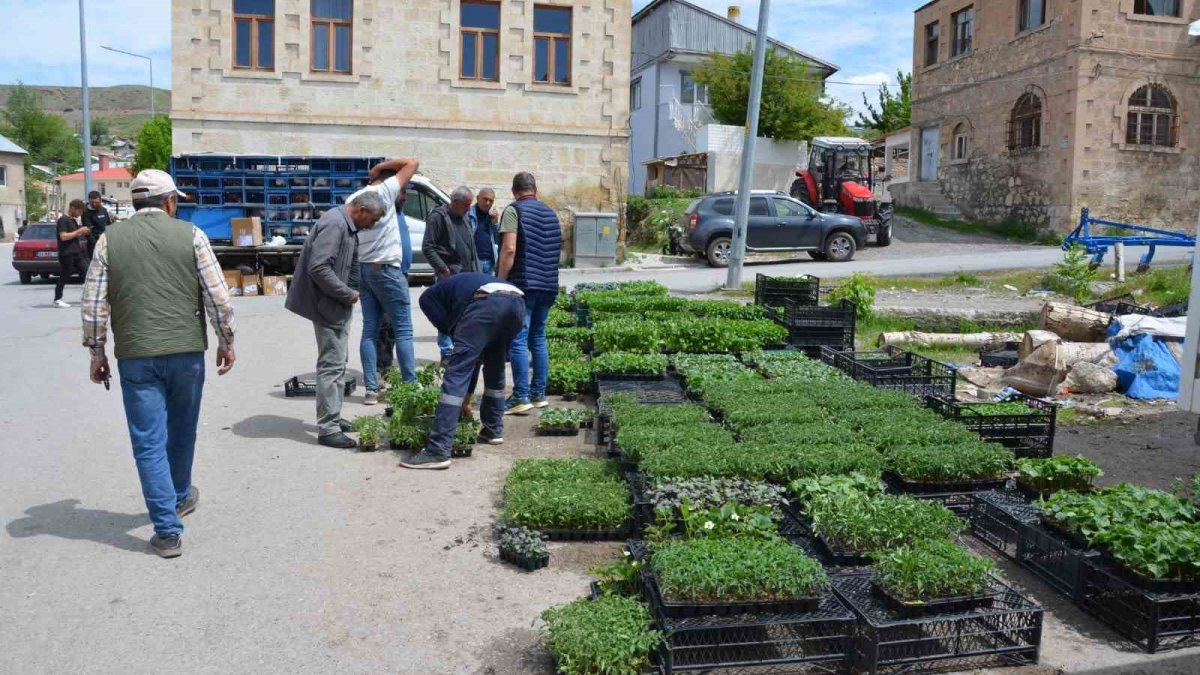 Pazara gitmeye gerek kalmadı! Herkes bu şekilde kendi yetiştiriyor: Bahçesi olan bahçede, olmayan terasta balkonda