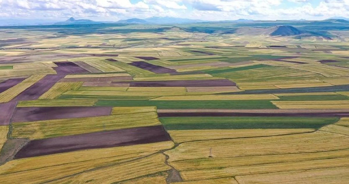 Resmi Gazete’de yayımlandı: Beş ilde arsa satışı başladı