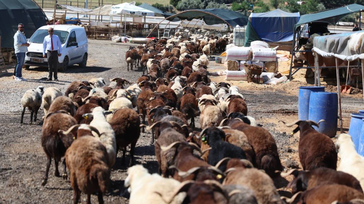 Karabağlar Belediyesinden Kurban Bayramı öncesi örnek uygulama