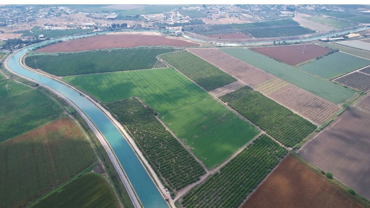 Adanalı çiftçilere devletten şok mesaj: 'Artık ikinci ürün ekmeyin'