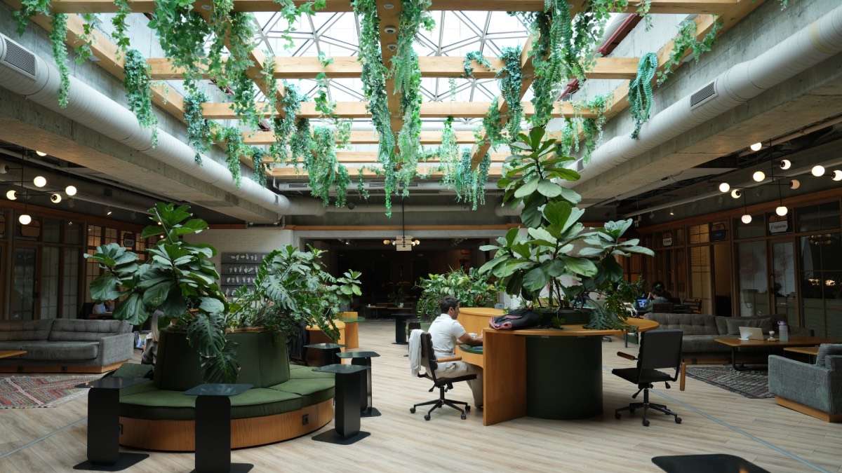 Kolektif House 10 yaşında