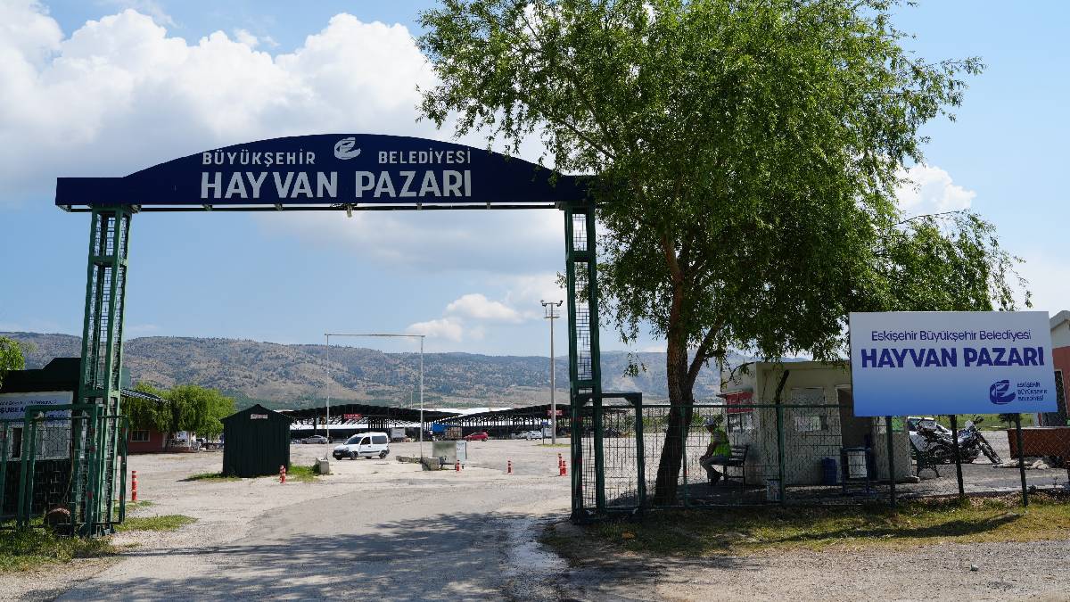 Hayvan Pazarı Kurban Bayramı’na hazır